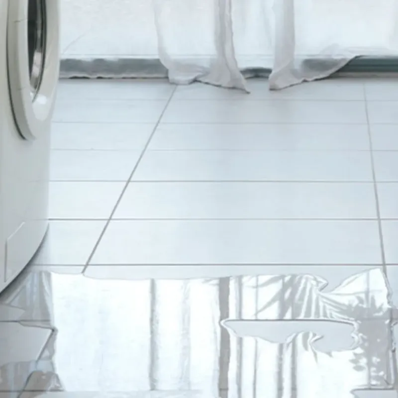 Appliance Leak Cleanup in Cameron, WI