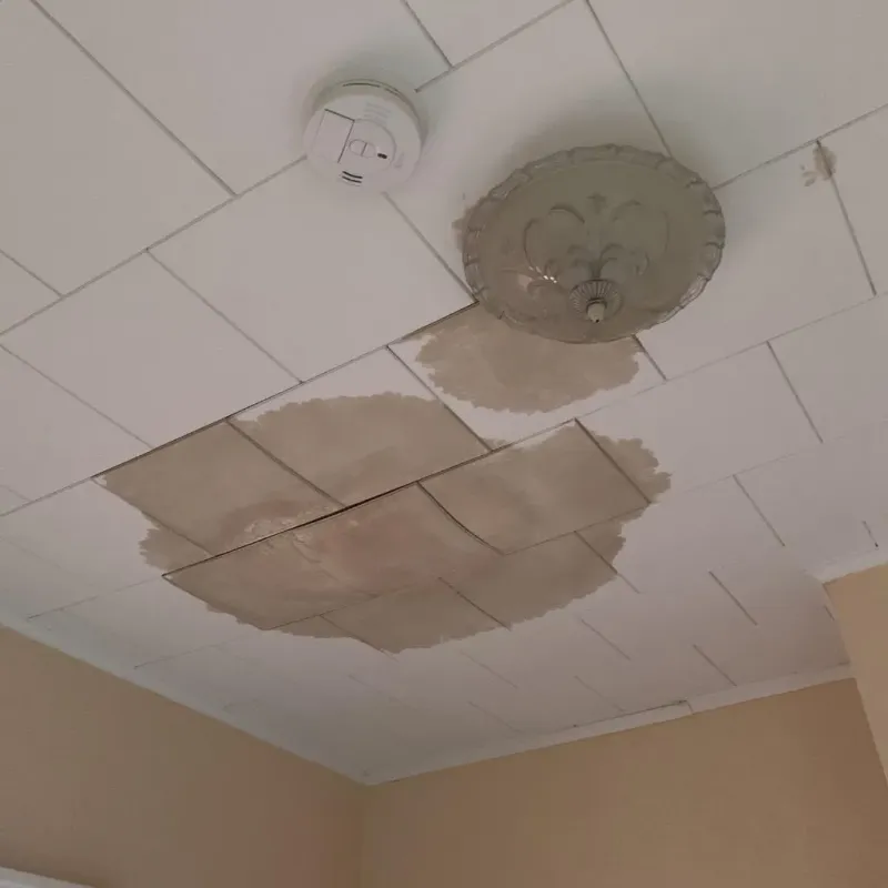 Ceiling Water Damage Repair in Cameron, WI