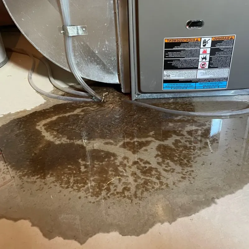 Pipe Burst and Leak Restoration in Cameron, WI