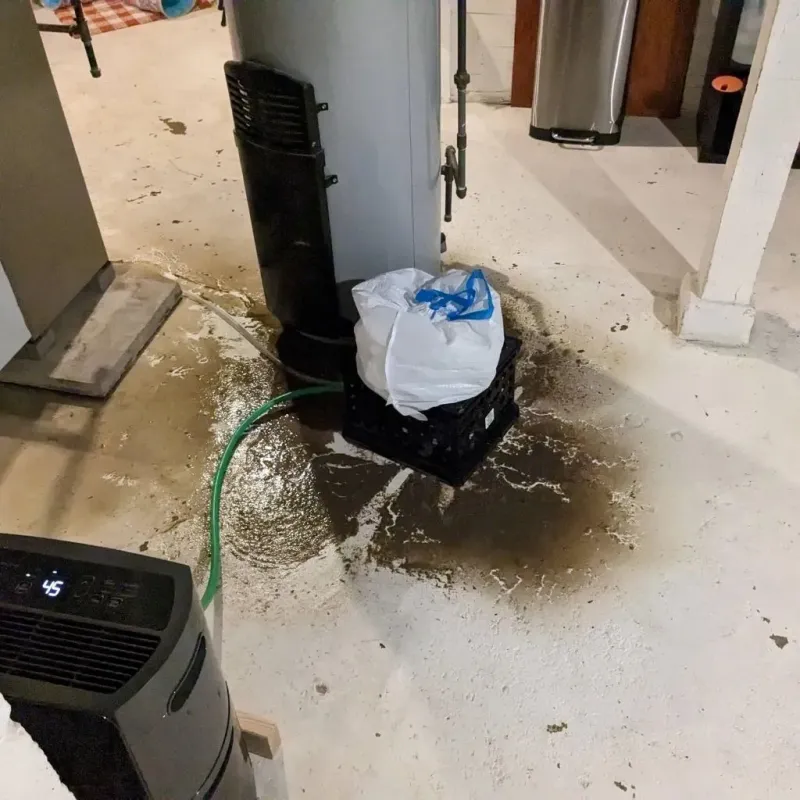 Sewage Backup Cleanup Service in Cameron, WI